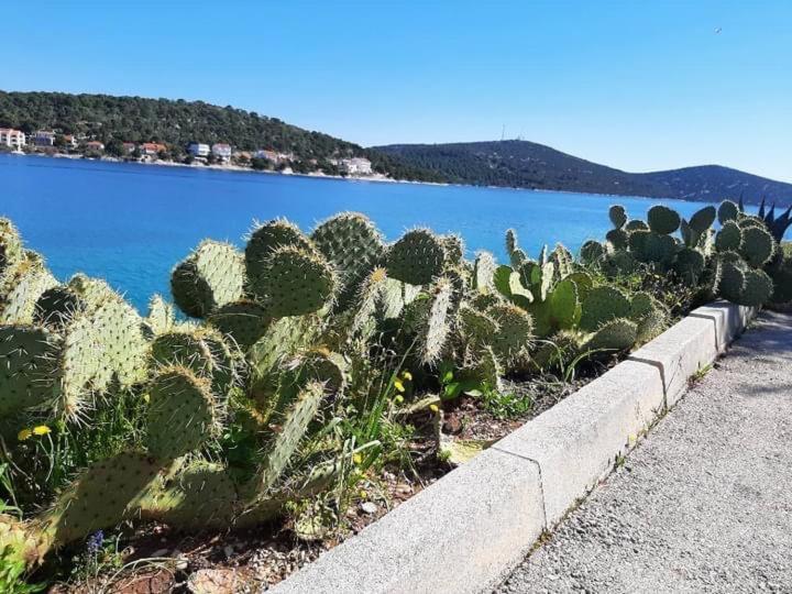 Tal Aparthotel Tisno Eksteriør bilde